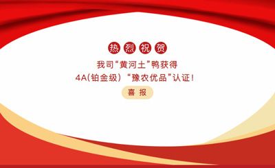 【喜報】—我司黃河土鴨獲4A(鉑金級）“豫農(nóng)優(yōu)品”認(rèn)證！